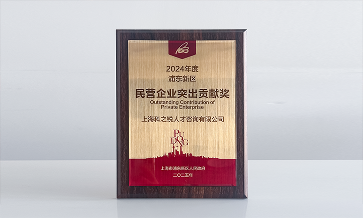 人力资源供应商K8凯发(中国)国际凭借人才服务与在区域经济开展中的卓越表现荣膺2024年度浦东新区民营企业奖项